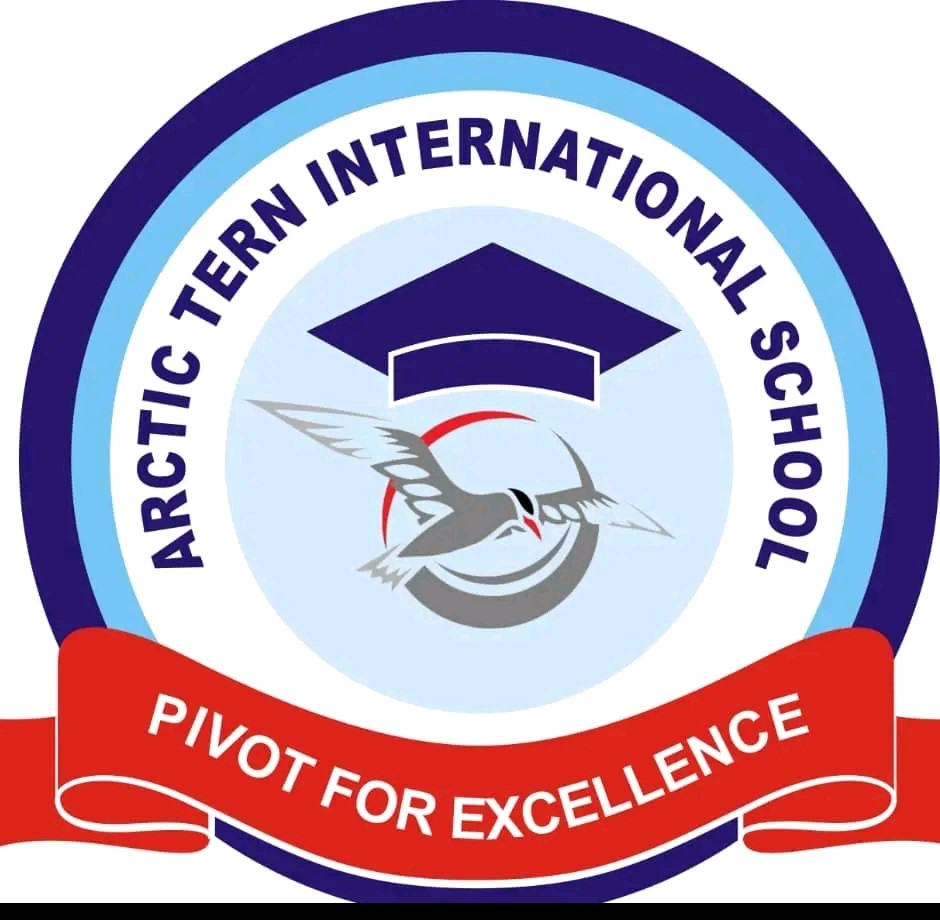 Arctic Tern International School
